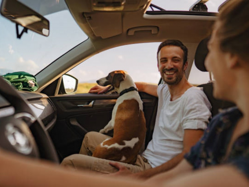 Businesses For Sale In Spain Business Broker Spain